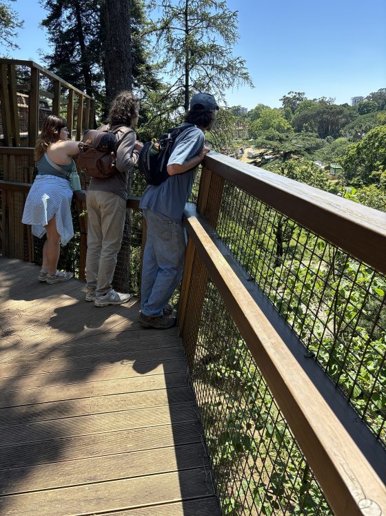Three people overlooking a wood railing at a lush green landscape in the distance.